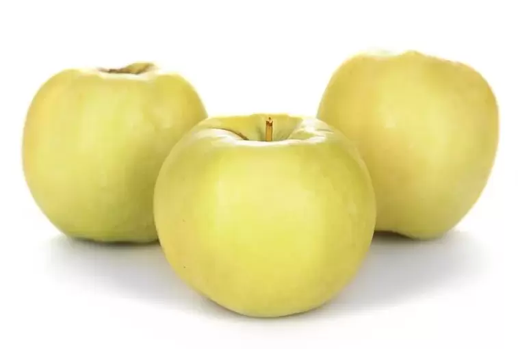ябълки за лечение на разширени вени