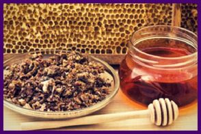 Пчелни продукти - мощни имуностимуланти, които укрепват стените на кръвоносните съдове с разширени вени