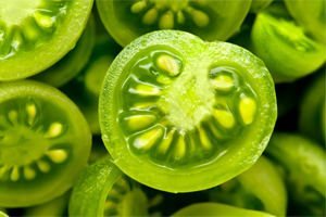 лечение на разширени вени зелени домати